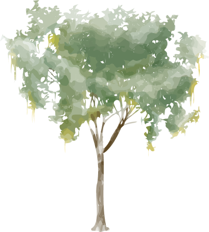 small-tree